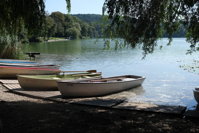 Mehrere Ruderboote liegen am Seeufer unter überhängenden Zweigen.