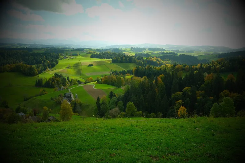 Blick über grüne Hügel, Felder, Bäume und vereinzelte Häuser.