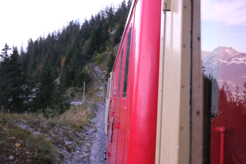 Blick entlang eines roten Zuges auf Wald und Berge.